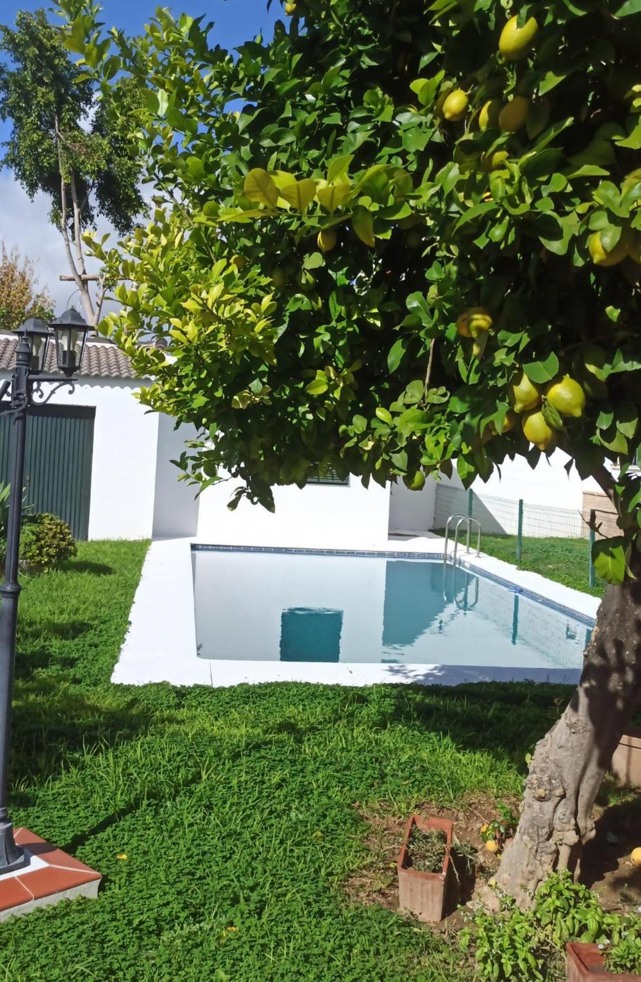 Vila Casa Turquesa Valencina de la Concepción Exteriér fotografie
